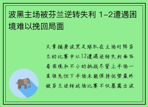 波黑主场被芬兰逆转失利 1-2遭遇困境难以挽回局面